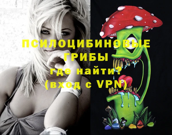 СК Медвежьегорск