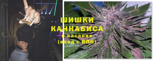 гидра Мегион
