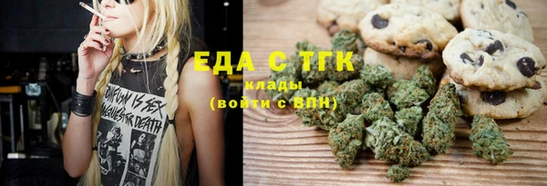 индика Анива