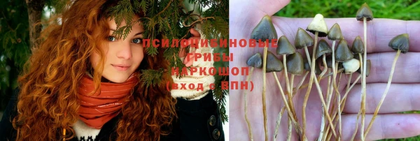 героин Михайлов