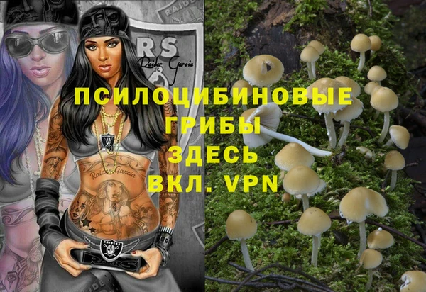 винт Надым