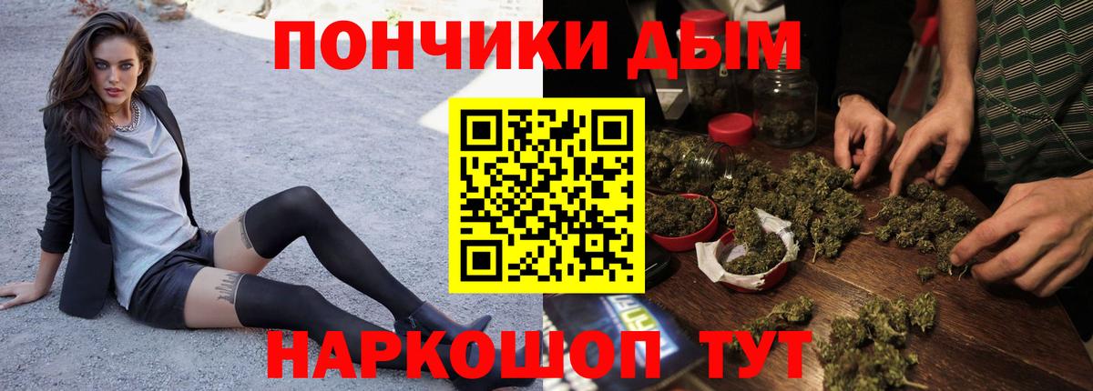 Канабис сатива Нижнеудинск